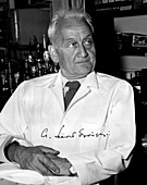 A. Szent-Gyorgyi,Hungarian-US biochemist
