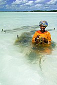 Kelp farming,Zanzibar