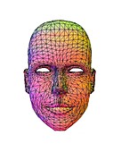 Biometric facial map