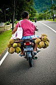 Fruit seller,Indonesia