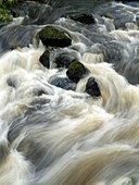 Mountain stream rapids