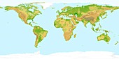 World land topography