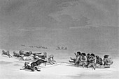 Inuit sledges,19th century artwork