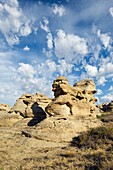 Sandstone hoodoos