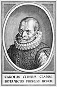 Charles de l'Ecluse,Flemish botanist