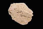 Pumice igneous rock