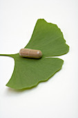 Ginkgo leaf and capsule