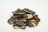 Sunflower seeds (Helianthus annuus)