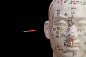 Human model with acupuncture needles