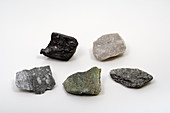Variety of Metamorphic Rocks