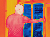 Thermogram,reaching into refrigerator