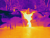 Thermogram of a waterfall flowing