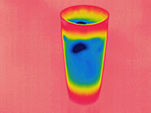 Thermogram,ice water,temp variation