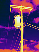 Thermogram telephone pole,transformer