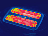 Thermogram,toaster,temp variation