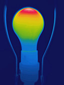 Thermogram incandescent light bulb