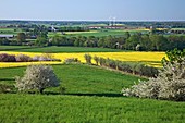 Rural landscape,Sweden