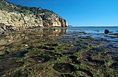 Inter-tidal shelf,Madagascar