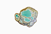 Variscite