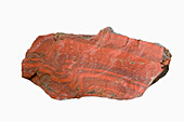 Jasper with visible folding