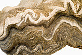 Folded Amphibolite
