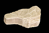 Ulexite