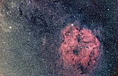 Spiral galaxy IC 1936