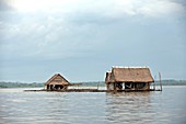 Floating homes,Amazon Basin