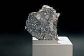 Lunar meteorite