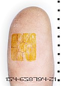 Fingerprint identification
