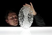 Smallpox virus,glass sculpture