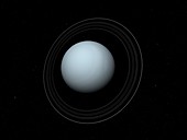 Uranus and its rings,artwork