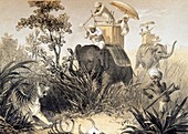 Tiger hunting in India,19th century