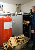Commercial wood-fuelled boiler