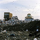 Landfill site