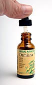 Damiana herbal extract