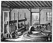 Cider production,19th century