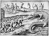Crocodile hunt,artwork