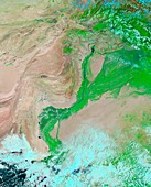 Indus River,Pakistan,satellite image