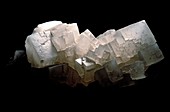 Cubic salt crystals,Wieliczka Salt Mine