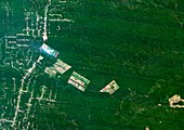 Deforestation in the Amazon,1985