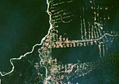 Deforestation in the Amazon,2000