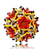West Nile virus particle,molecular model
