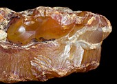 Carnelian pebble