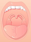 Healthy mouth,artwork