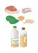Dietary sources of fat,artwork