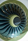 Aircraft engine fan in cowling