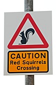 Squirrel road sign