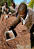 Archaeological excavation