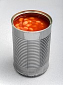 Baked beans in a can